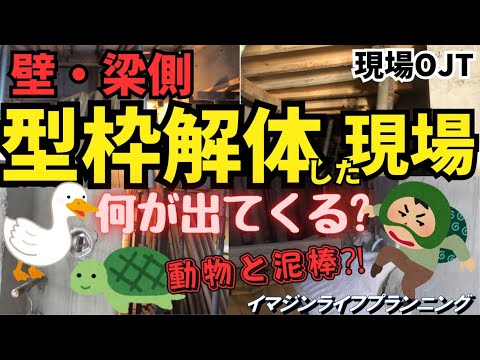 【現場取材番組】コンクリート躯体を診てみよう!!　　　　　　　　　　　＃型枠解体　＃コンクリート躯体　#型枠大工　＃構造スリット　＃現場OJT　#イマジンライフプランニング