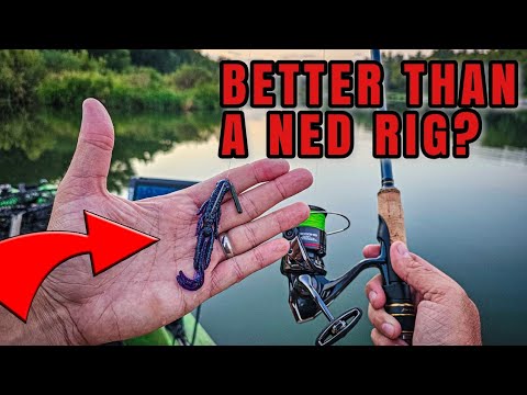 Free Rig is TAKING OVER (Easy Finesse Fishing Rig!)