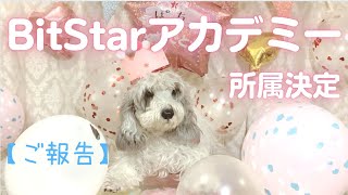 【BitStarアカデミー】所属 決定！