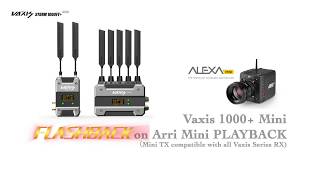 Vaxis 1000+ arri alexa mini  version 0 delay flashback