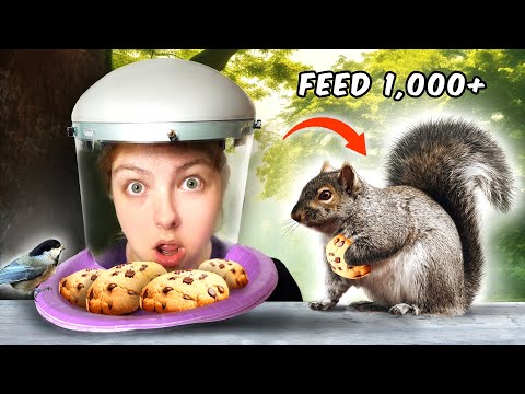 Feed 1000 wildlife challenge in a city park🐿️🐤