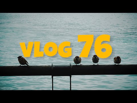 臺北vlog 3預告.