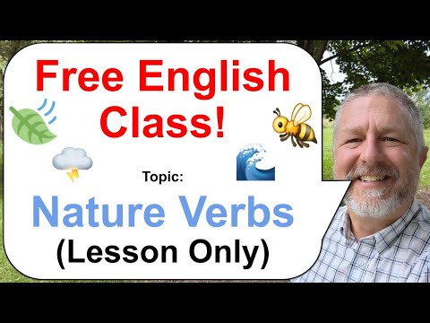 Let's Learn English! Topic: Nature Verbs! 🐝🍃🌩️ (Lesson Only)