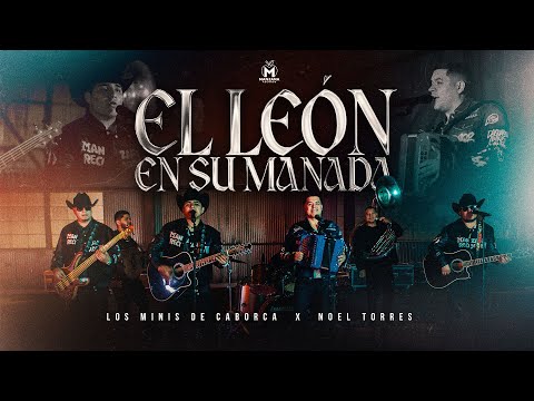 Los Minis de Caborca x Noel Torres - El León En Su Manada (Video Oficial)