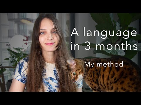 A language in 3 months: is it possible?