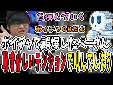 ボイチャがONなのを忘れて恥ずかしいテンションで叫んでしまうぺーさん！それを聞いて爆笑する標準さん【三人称/ドンピシャ/ぺちゃんこ/鉄塔/valorant /切り抜き】