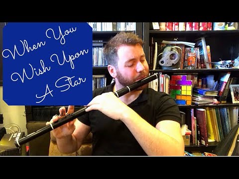 When you wish upon a Star Disney Cover Flute Chris McMullan