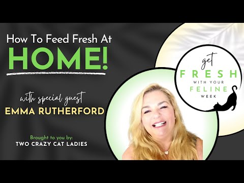 How To Feed Fresh Food At Home with Emma Rutherford | Get Fresh With Your Feline