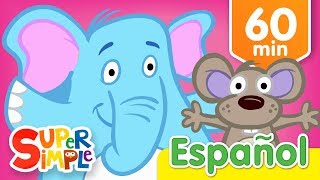 Abre Cierra Y Más Canciones Infantiles | Música Para Niños