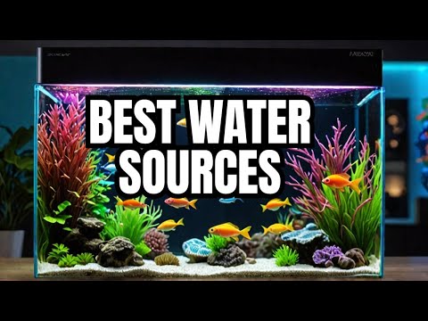 Here Are The BEST Fish Tank Water Sources