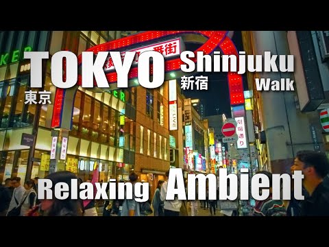 新宿 / Night walk in Shinjuku, Tokyo, Relaxing Ambient ( November 12, 2024 )