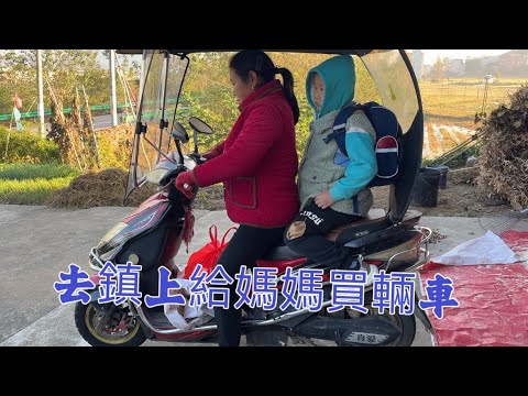 日本生活/回農村生活，帶老媽去鎮上買一輛車