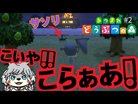 これって何するゲームだっけ？【あつまれ どうぶつの森】#2