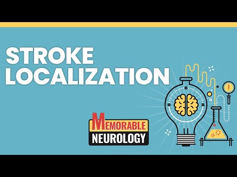 Stroke Localization Made Easy with Mnemonics! (Memorable Neurology Lecture 14)