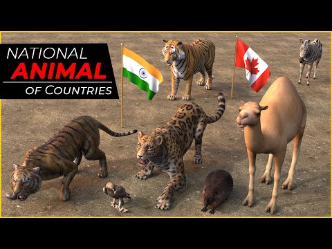 National Animal of all countries | Flags with National Animals