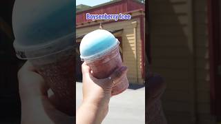 Boysenberry ICEE! #knottsberryfarm #knottsfood #knotts #themeparkfood #themepark #icee