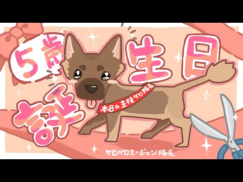 飼主の脅威的カットセンスで何かを失った犬の５歳の誕生日！🎁🎊🥳