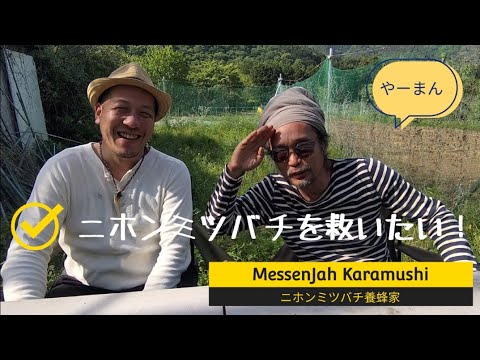 【ニホンミツバチを救いたい！】  #KARAMUSHI #ニホンミツバチ #養蜂