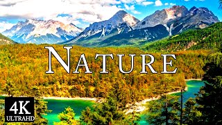 Stunning 4K Nature Videos - Nature Sounds, Dream Relax,4K UHD, Piano Relax, Relax 4K, Soft Relaxing