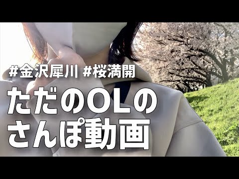 【金沢犀川】OLが休日に犀川沿いをただ散歩するだけの動画/花見【桜満開】