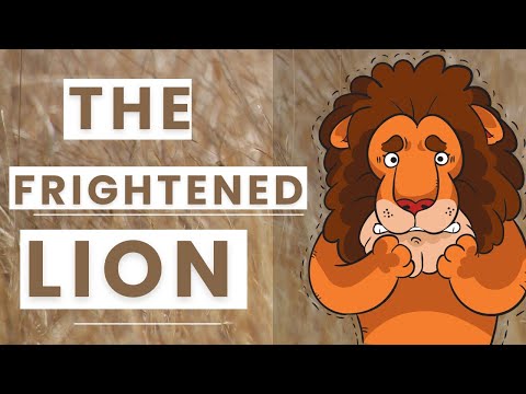 The Frightened Lion | Bedtime Story for Kids | Moral Stories for Children