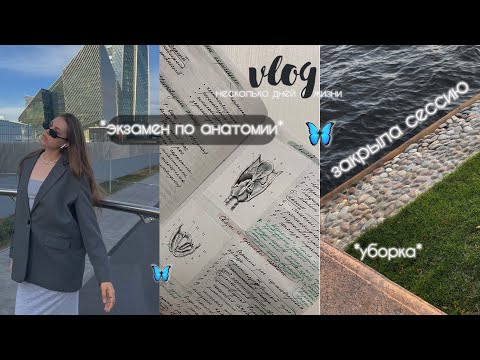 экзамен по анатомии, уборка и ночевка у подружки *vlog*