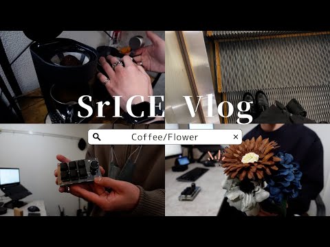 【Vlog】冬襲来、お買い物&紹介｜100円造花の飾り方