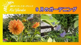 ９月のガーデニング/９月の庭の様子