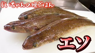 【骨は多いが身は美味い！】エソの美味しい食べ方３選教えちゃいます！