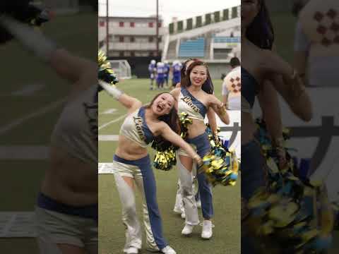 2024/09 All Mitsubishi Lions Cheerleaders #cheerleader