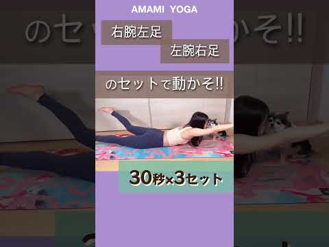 【簡単そうで難しい!?】全身パタパタトレーニングで全身痩せ✨💪🏼#amamiyoga #あまみヨガ　#筋トレ　#全身痩せ　#全身トレーニング　#ダイエット　#ヨガ　#ヨガ女子　#ヨガ美女