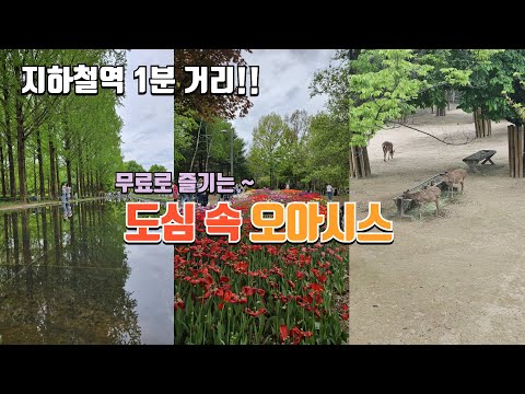 지하철역 1분 거리, 도심 속 힐링 명소 | 한국형 센트럴 파크 | 튤립축제 | 벛꽃명소 | 피크닉 나들이 | 당일치기 | 서울 가볼만한곳 | 국내여행 | 대중교통