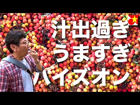 【食べ過ぎ注意】ベトナムの夏を食べ尽くす！シーズン到来のライチ、ハイズオンの山積み風景とライチ狩りで食べ尽くす。【ハノイから日帰り】