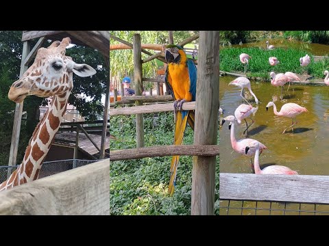 A Day of Adventure: Exploring The Zoo's Cutest Animals