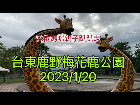 台東鹿野梅花鹿公園  2023/1/20