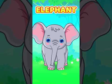 Elephant Dancing 🥰| Fun Info On Elephants 🐘 #shorts