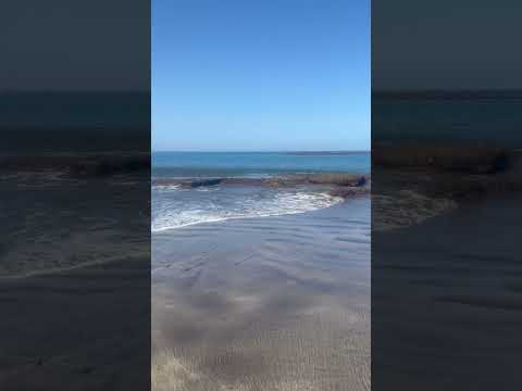 🏝️ Relaxing morningat the beach 🏝️ Tenerife #tenerife #canaryislands #costaadeje