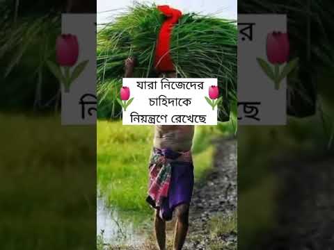 পৃথিবীতে তারাই সুখী 😍🥀#shorts