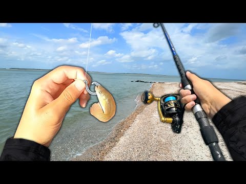 What will EAT a LIVE MINNOW in the Surf?? (Saltwater Fishing)