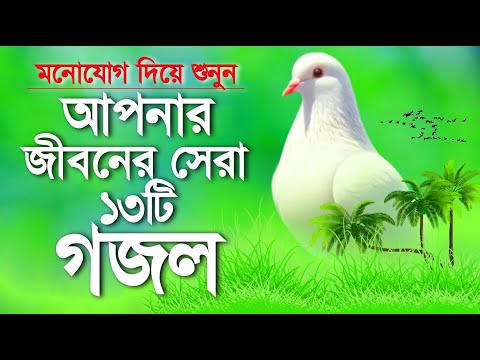 আপনার জীবনের সেরা ১৩টি গজল | একবার শুনলে মন প্রাণ মুগ্ধ হয়ে যাবে | Top & Best 13 Gojol | বাংলা গজল