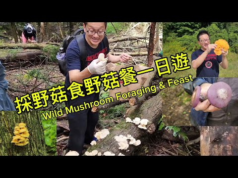 採野菇食野菇一日遊（Mushroom Foraging & Feast @ Stratford) 原來加拿大安省有好好吃的 Jimmy & Good Eats in Ontario Ep.397