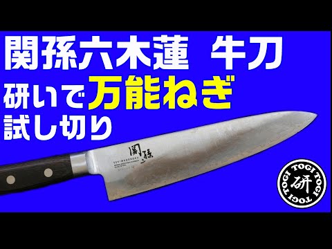 関孫六 木蓮 牛刀　研いだら万能ねぎの切れ味は変わるのか？？＠TOGITOGI動画