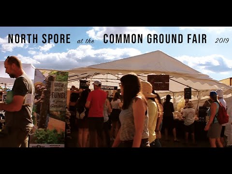 North Spore's Common Ground Fair Recap 2019