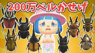 【あつ森お金かせぎ】高い虫200匹つかまえて200万ベルかせげ【ゆっくり実況】