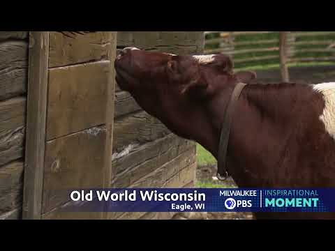 Milwaukee PBS Presents | Inspirational Moments | Old World Wisconsin