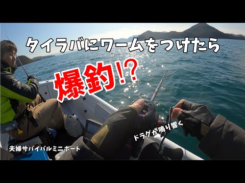 【ミニボート釣り】タイラバにワームを付けるだけで爆釣した#タイラバトレーラー