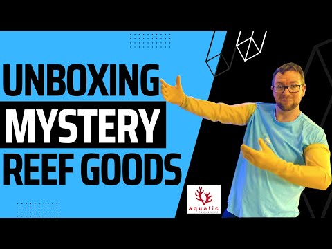 Unboxing Mystery Reefing Goods!