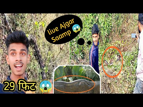 LIVE = ETNA KHATRNAK AJGAR SAAMP 😱😱 ||  Such A Dangerous Python  Snake 🐍 || #activearun