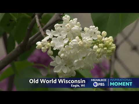 Milwaukee PBS Presents | Inspirational Moments | Old World Wisconsin