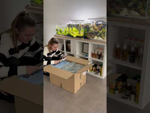 TETRA Unboxing #aquarium #aquascaping #fishtank #aquascape #plantedaquarium #fish